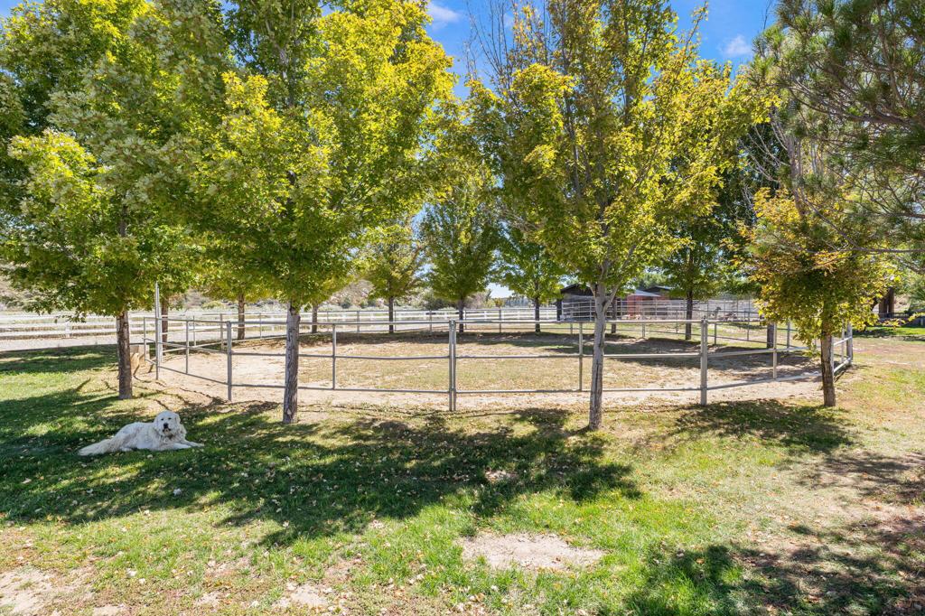 Garner Valley - Residential