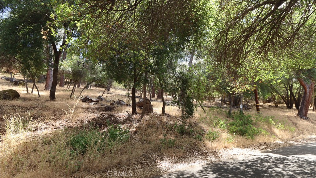 10465 Boren Bega Drive