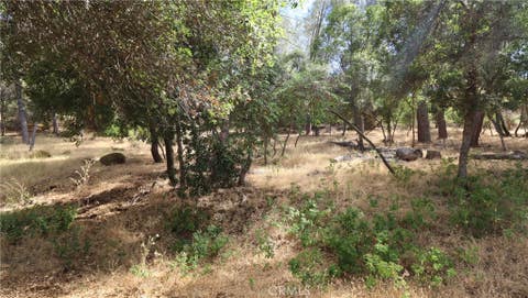 Photo of 10465 Boren Bega Drive, Kelseyville, CA 95451 (MLS # LC26141449)