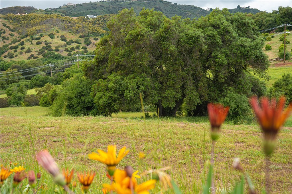 6 Camino Estribo / Via Tornado