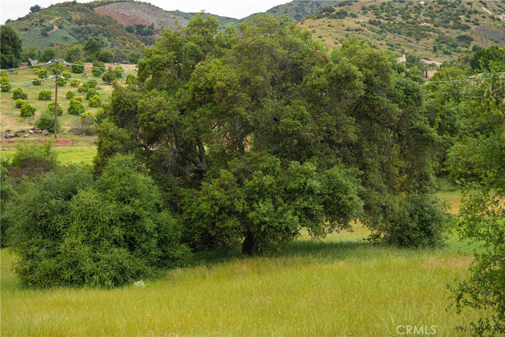 6 Camino Estribo / Via Tornado