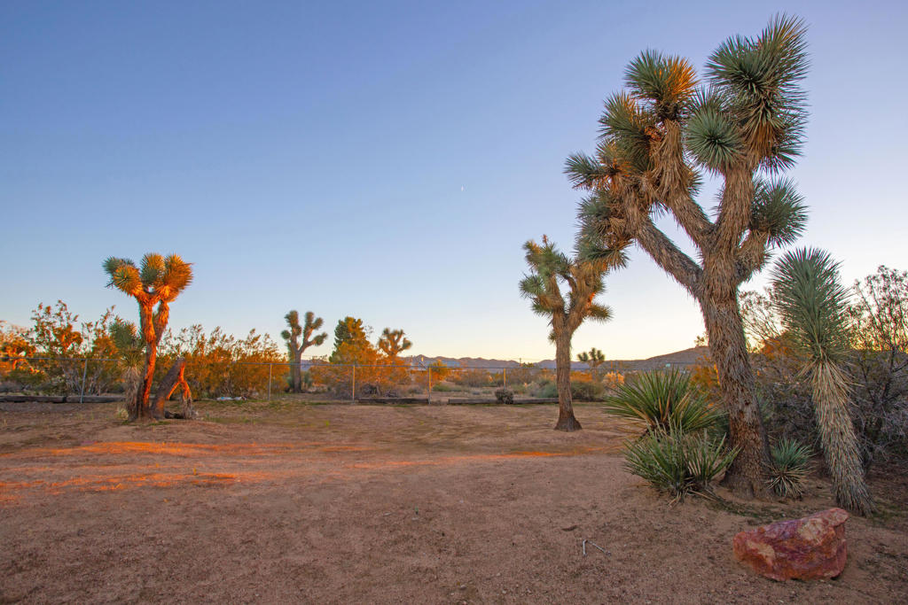 Not Applicable-1 - Residential