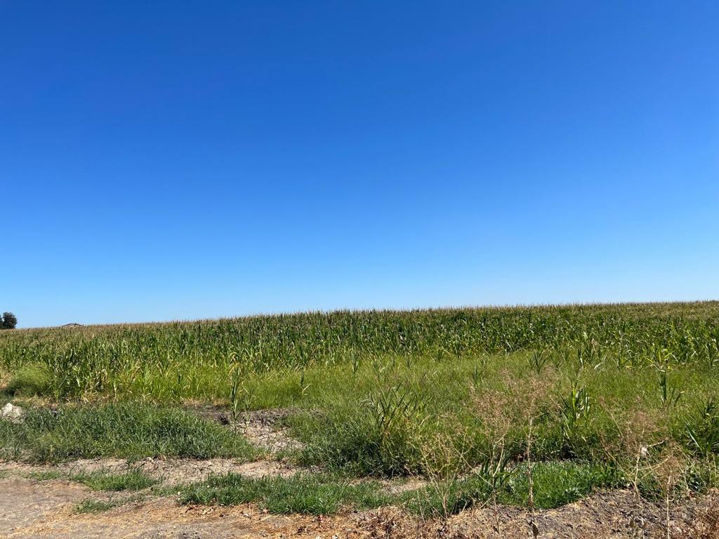 20444 S Lammers Road