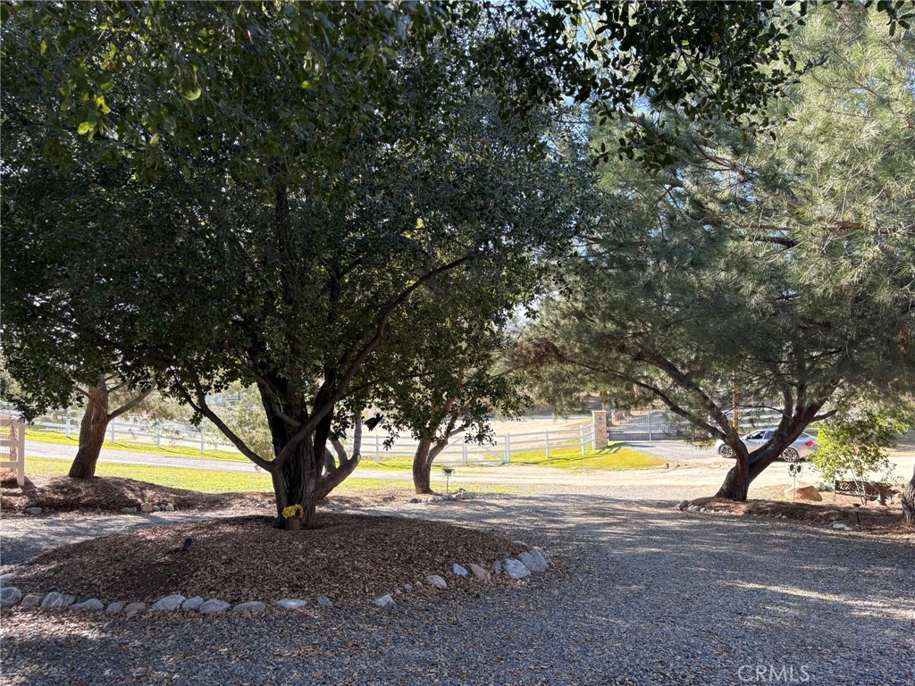 39485 Colleen Way