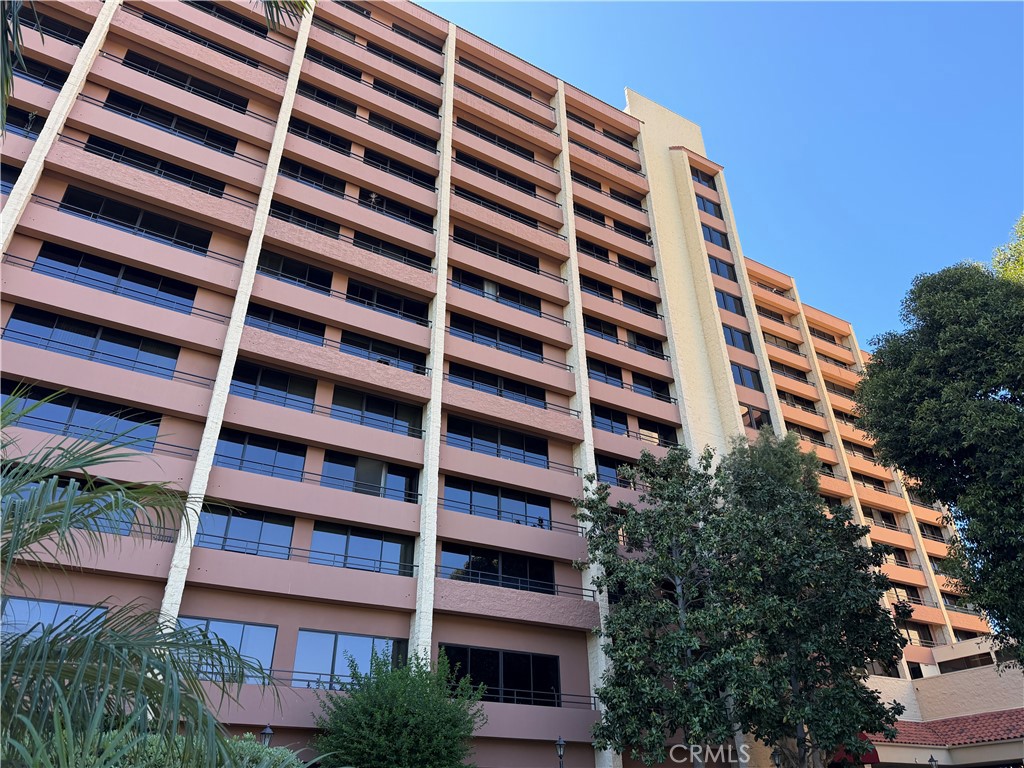 24055 Paseo Del Lago #1251