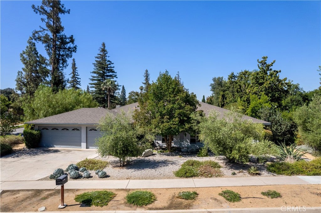 352 Campbell Avenue
