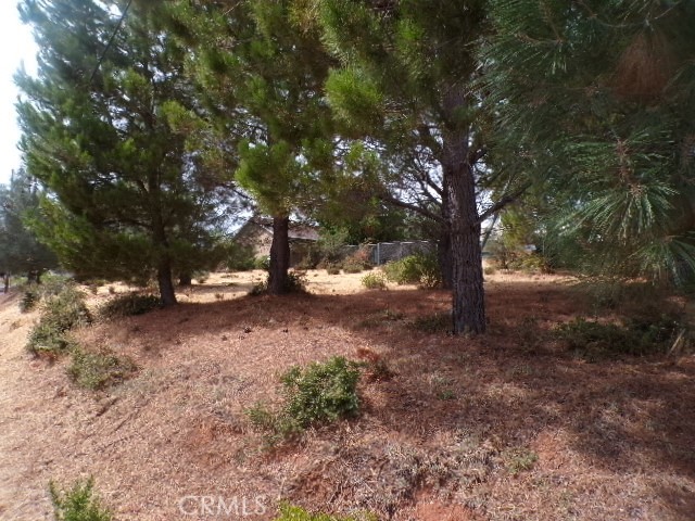 Tree studded almost completely flat, slight up slope. Enjoy hiking, biking, fishing, skiing, sailing, motor boating, canoeing, water sports of every kind, close to fine dining, entertainment, shopping, good schools, and just a short drive to Buckingham Golf and Country Club. Purchase this one for $15K or buy the adjoining parcel together, both for $27K