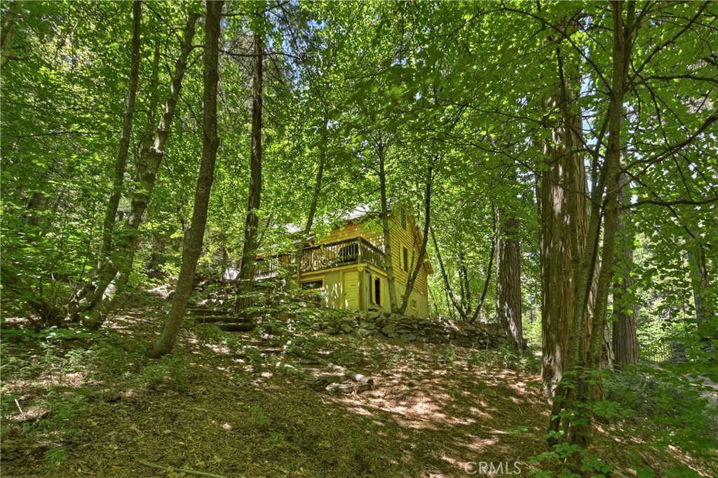 714 Blue Jay Canyon Road
