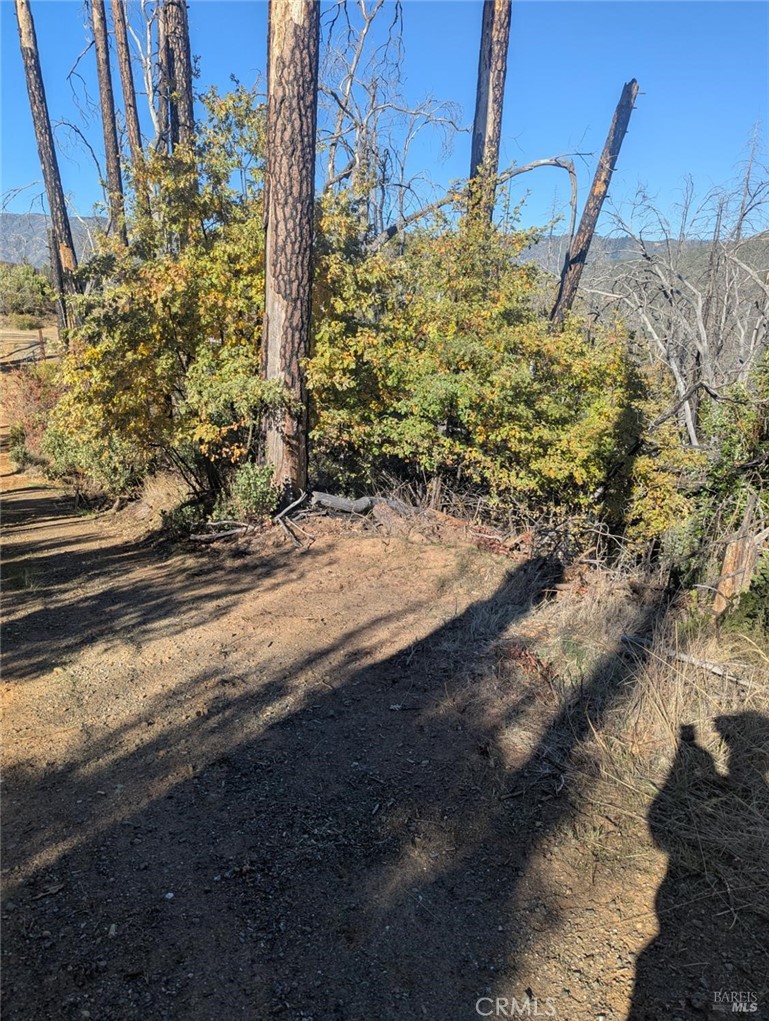 1833 Hunter Point Rd