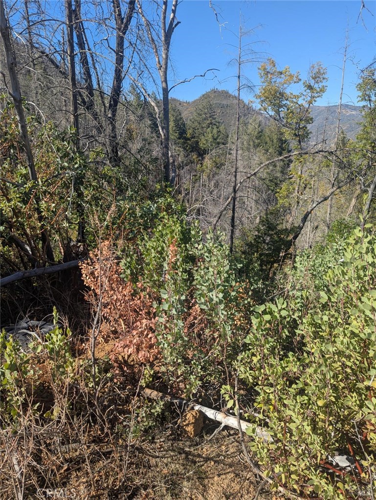 1833 Hunter Point Rd