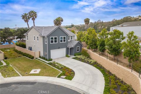 25928 Meadow Drive San Juan Capistrano CA 92675