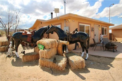 Photo of 1910 Artesia Avenue, Landers, CA 92285 (MLS # IG26071600)