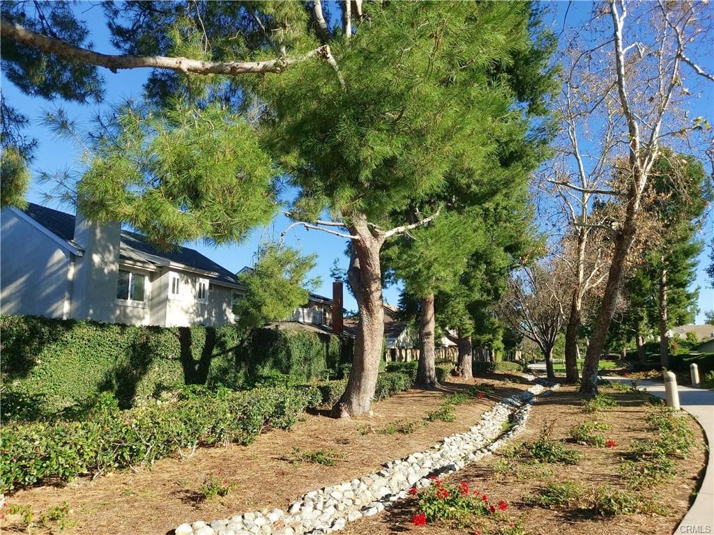 Amberwood (N.W.) (AW) - Residential Lease