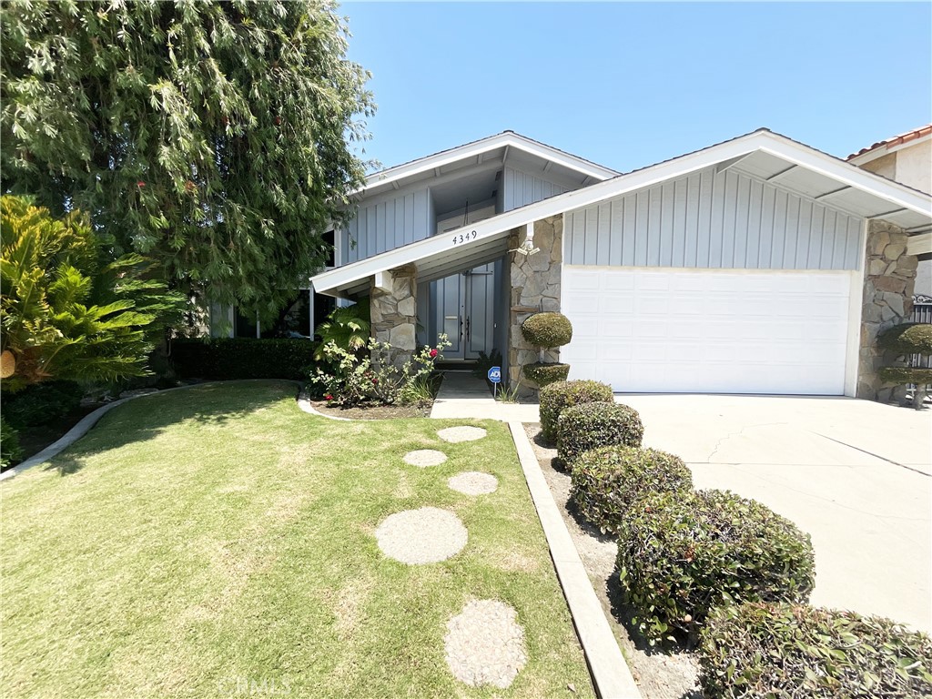 4349 Candleberry