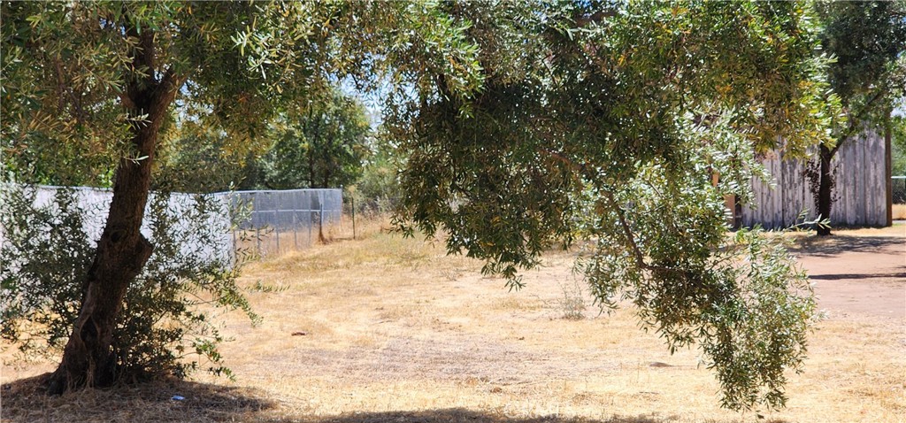 Seize the opportunity to own a 0.24-acre lot with small building at back of property in the outskirts of Oroville, CA, perfect for building your dream home or investing in a vibrant community! This compact yet versatile parcel offers an ideal balance of small-town charm and easy access to urban conveniences. 0.24 acres of level, buildable land, suitable for a custom home, modular home, or small investment project. Conveniently located in Oroville, close to downtown amenities and just minutes from Lake Oroville and the Feather River. Enjoy the beauty of Butte County with nearby views of rolling hills and easy access to outdoor recreation. Short distance to local shops, restaurants, schools, and recreational attractions like Lake Oroville State Recreation Area. Oroville is a welcoming community known for its rich history, outdoor adventures, and growing economy. This lot is perfect for first-time homeowners, retirees, or investors looking to capitalize on Oroville’s affordable real estate market. With its proximity to Chico (20 miles) and major highways, you’re never far from work or play.