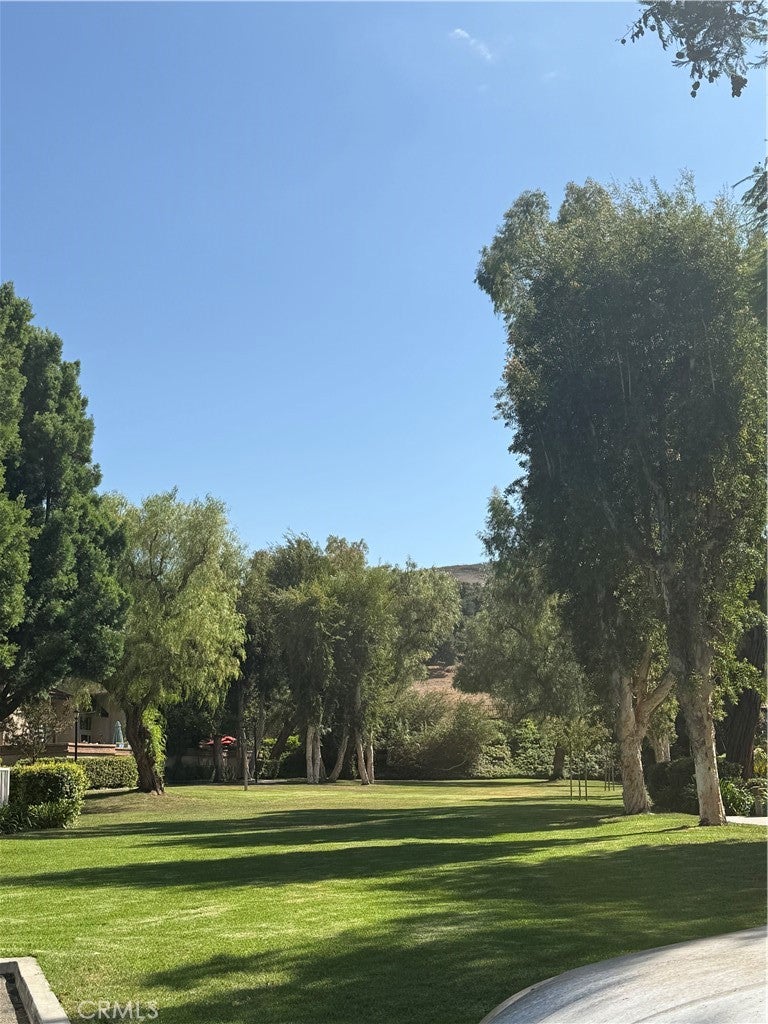 6 Saddlewood