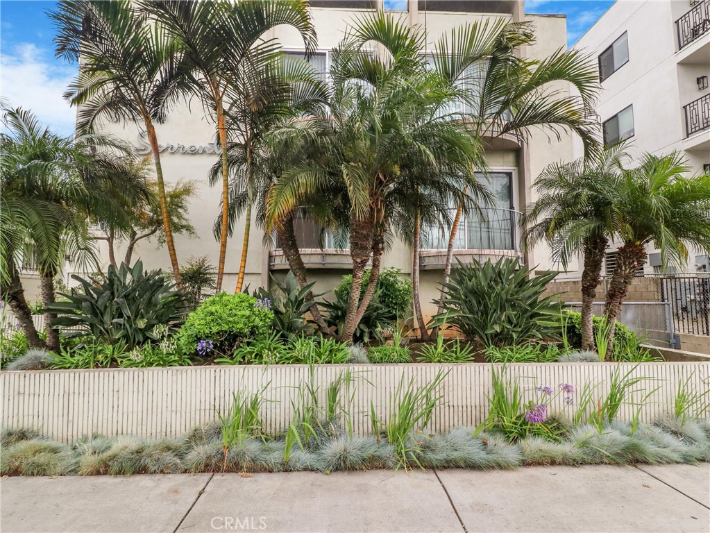 813 E La Palma Drive