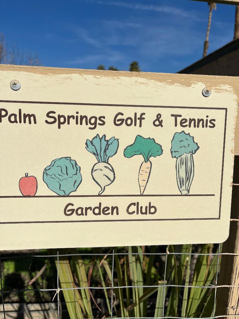 Palm Springs Golf & - Residential Lease