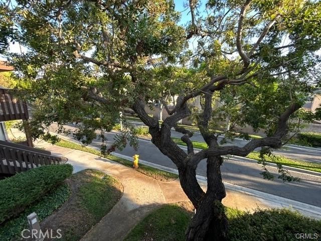 8531 Meadow Brook Avenue 203