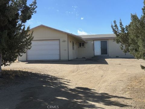 Photo of 9274 Terrace View Road, Phelan, CA 92371 (MLS # HD26083468)