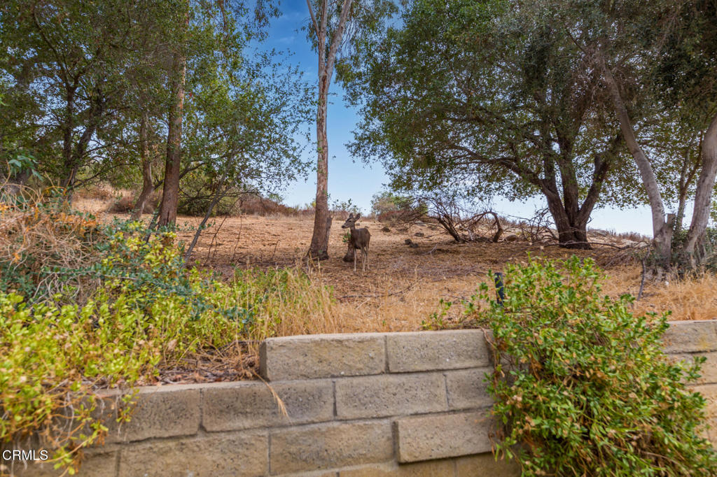 Summer Shores-721 - Residential