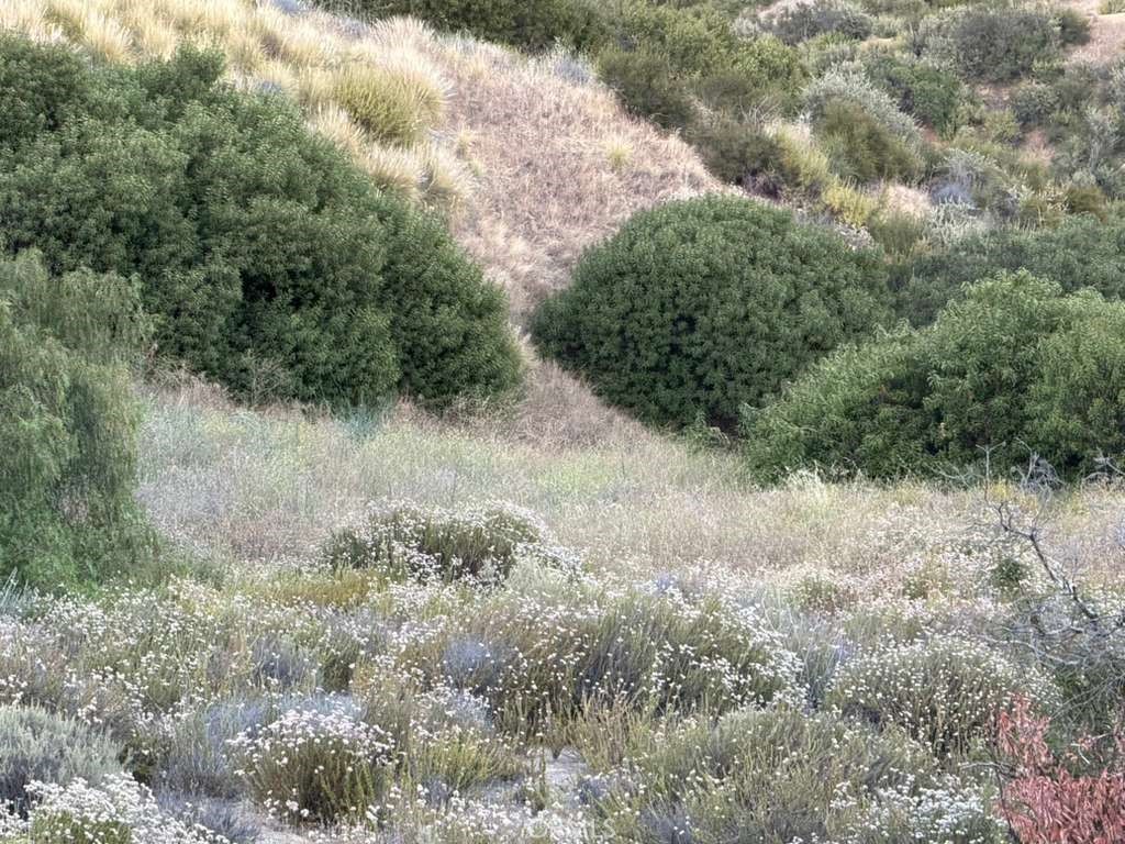 2 Coya Trail