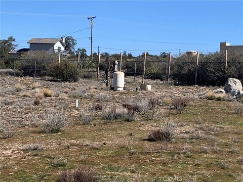 Photo of 69850 Burlwood, Mountain Center, CA 92561 (MLS # SW26027253)