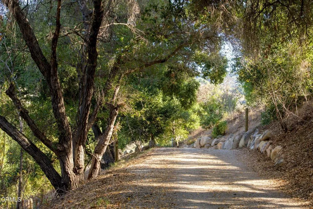 Ojai, California 93023, United States, 3 Bedrooms Bedrooms, ,2 BathroomsBathrooms,Residential,Active,117043