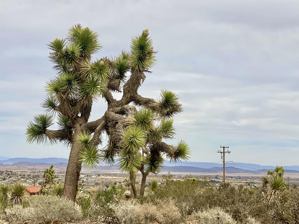 Not Applicable-1 - Land