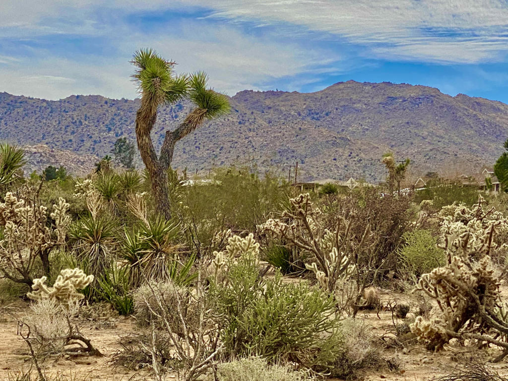 Not Applicable-1 - Land