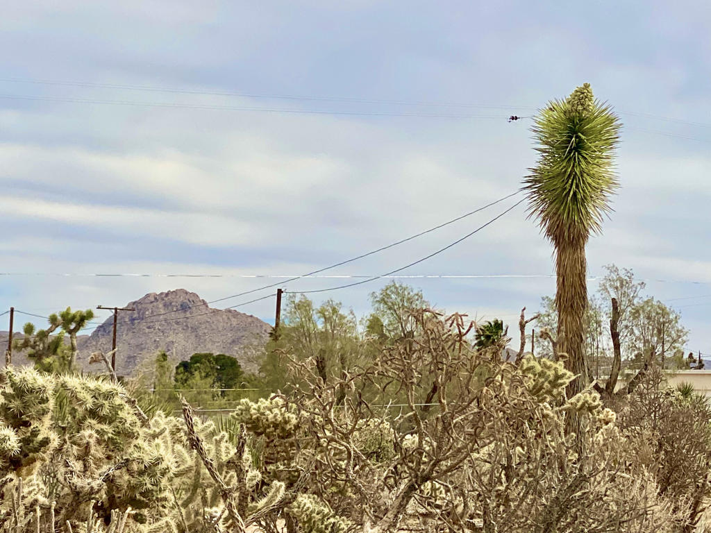 Not Applicable-1 - Land