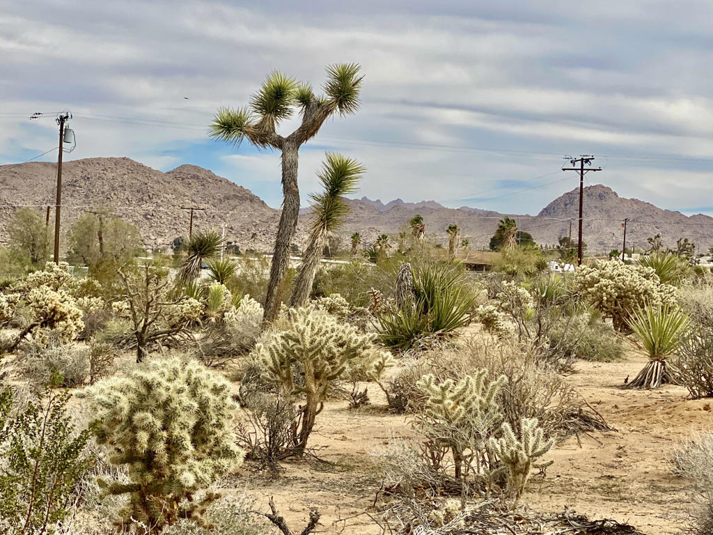 Not Applicable-1 - Land