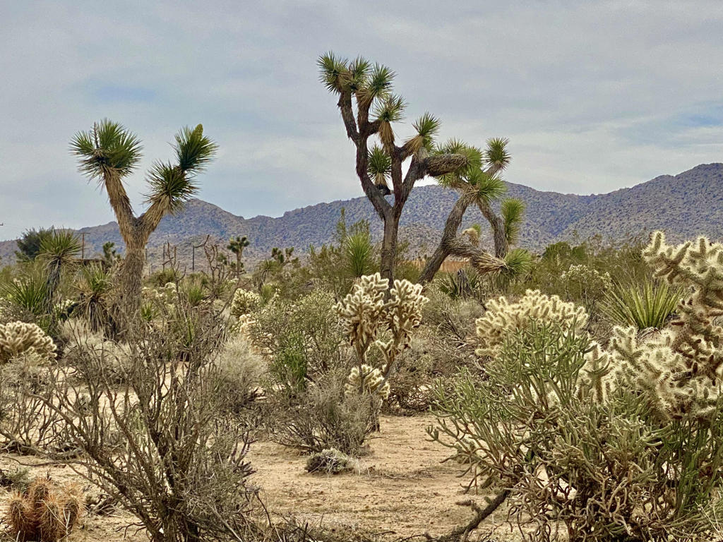 Not Applicable-1 - Land