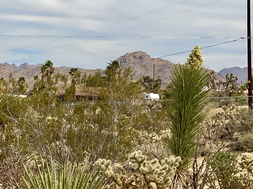 Not Applicable-1 - Land