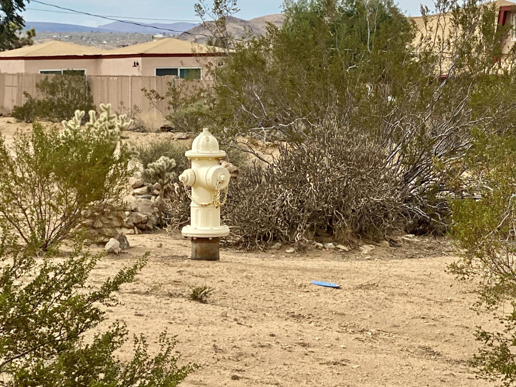 Not Applicable-1 - Land