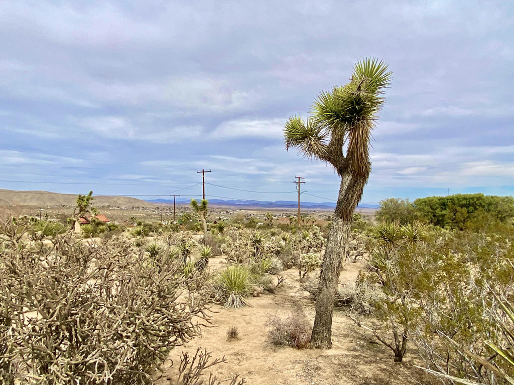 Not Applicable-1 - Land