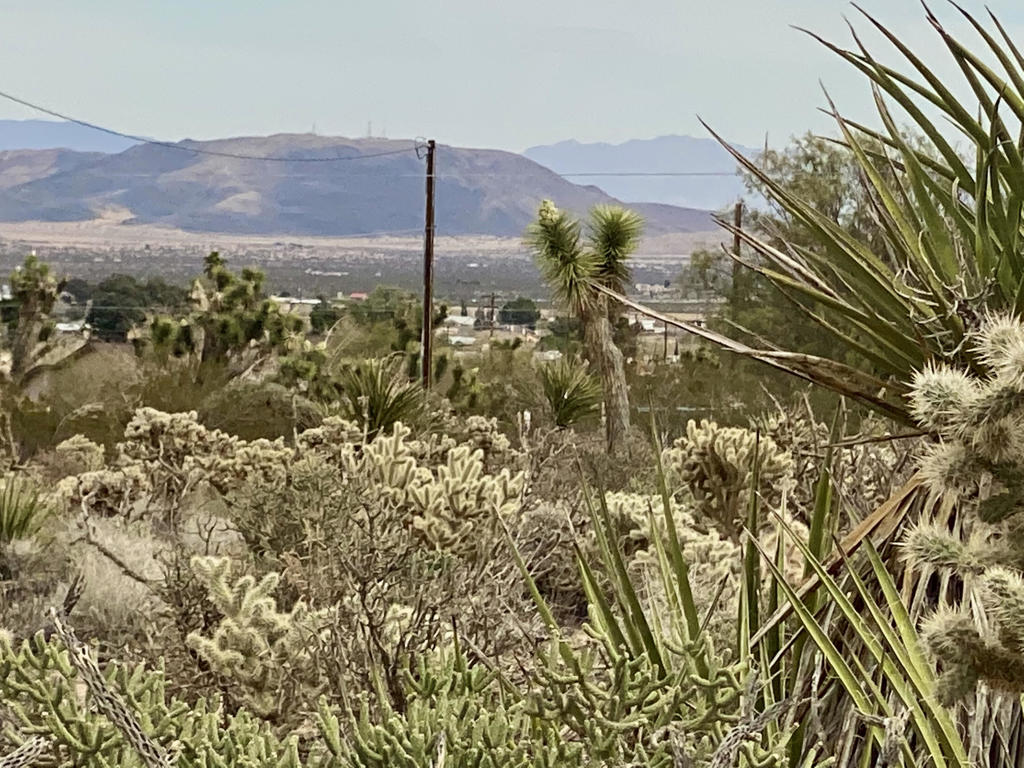 Not Applicable-1 - Land