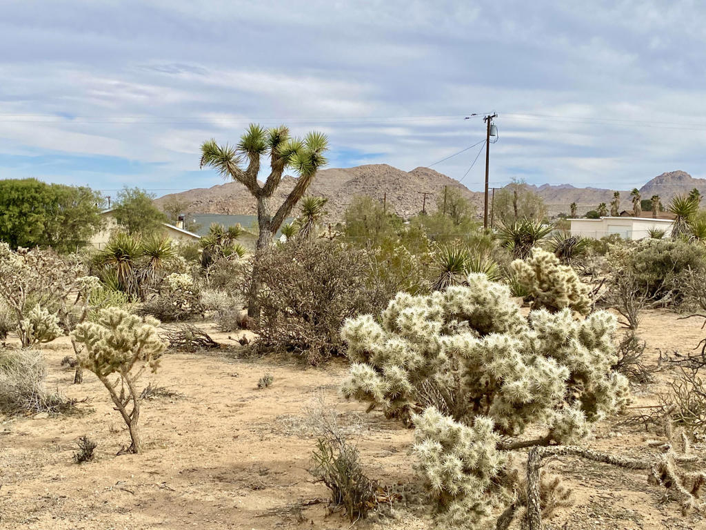 Not Applicable-1 - Land