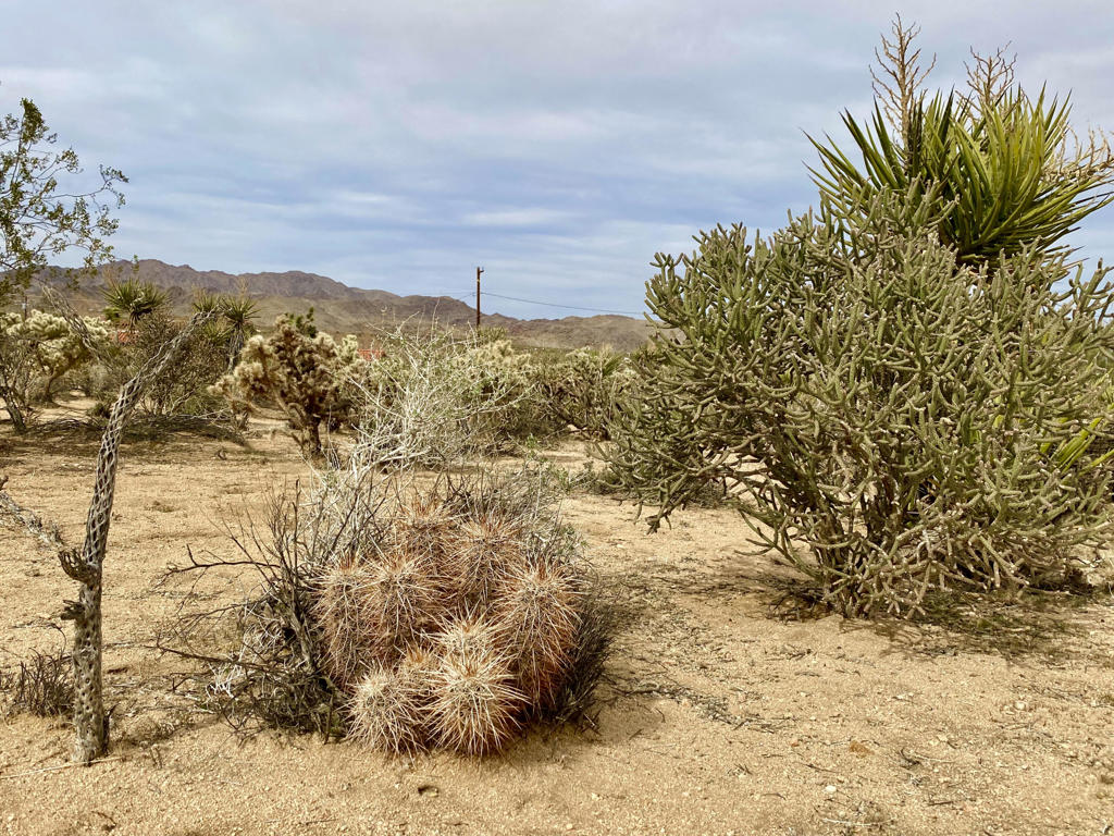 Not Applicable-1 - Land