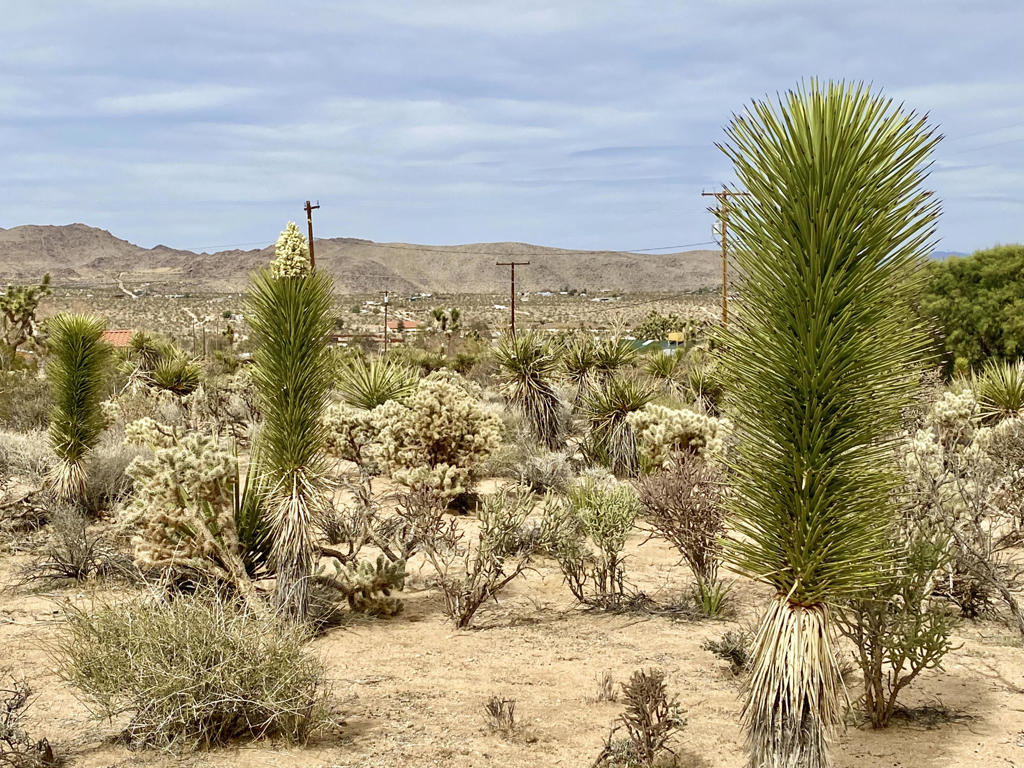 Not Applicable-1 - Land