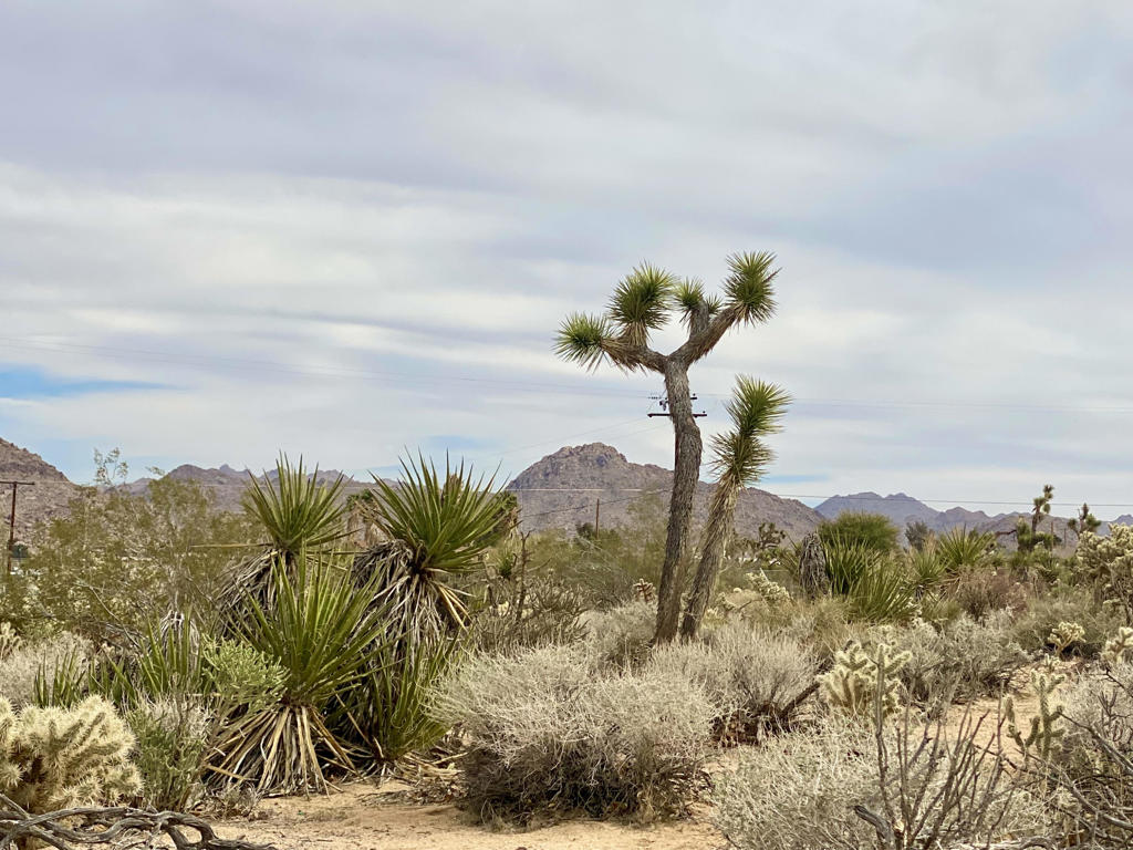 Not Applicable-1 - Land