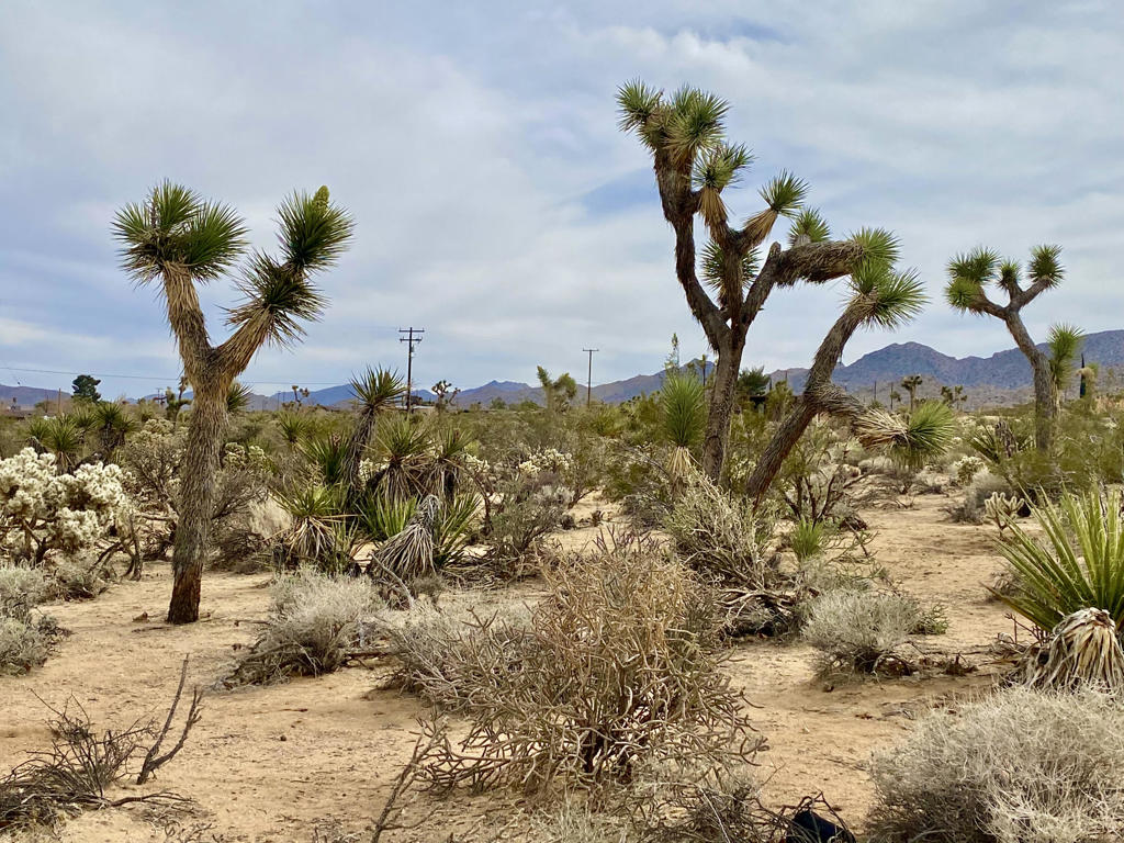 Not Applicable-1 - Land