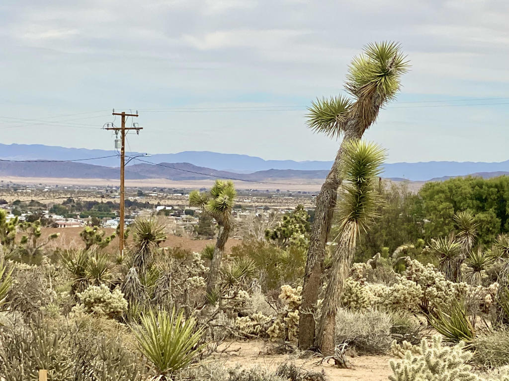 Not Applicable-1 - Land