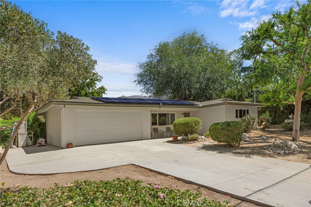 39664 Orchard