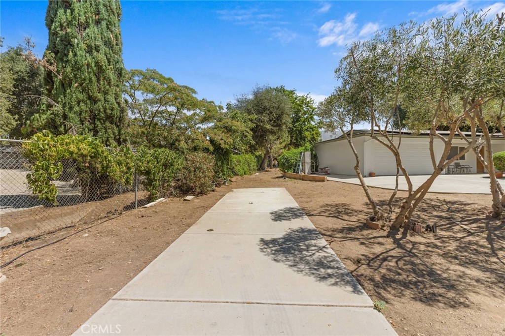 39664 Orchard