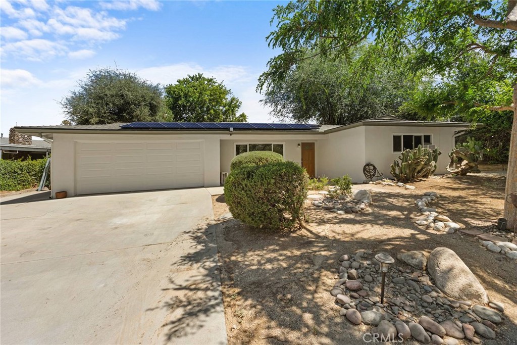 39664 Orchard