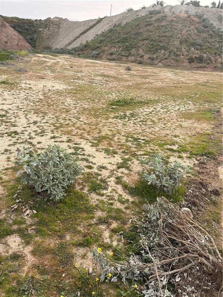 7111 Luane Trail