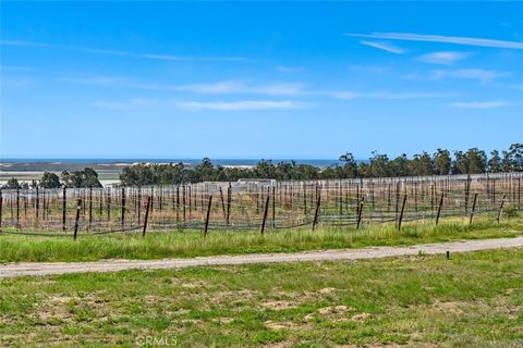 Tiny photo for 1590 Eucalyptus Road, Nipomo, CA 93444 (MLS # PI26023334)