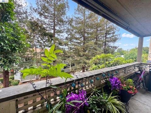 Photo of 29599 Vanderbilt St St #204, Hayward, CA 94544 (MLS # 41131830)