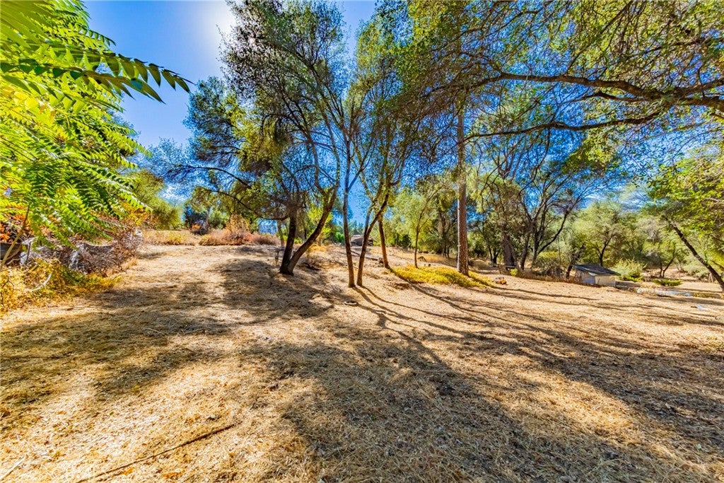 0.52 AC Daisy Lane